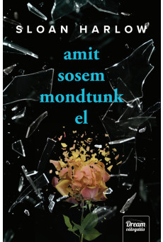 Amit sosem mondtunk el