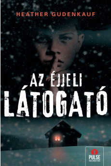 Az éjjeli látogató